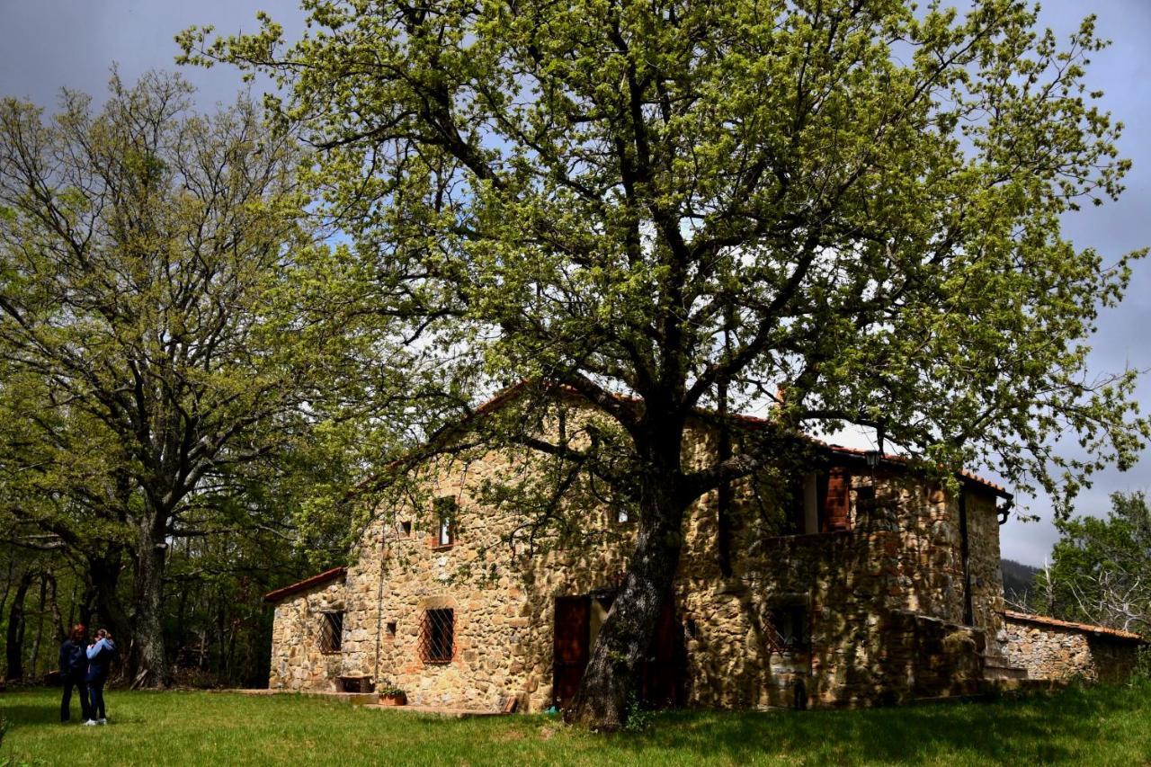Bed and Breakfast Il Venaio Масса-Мариттима Экстерьер фото