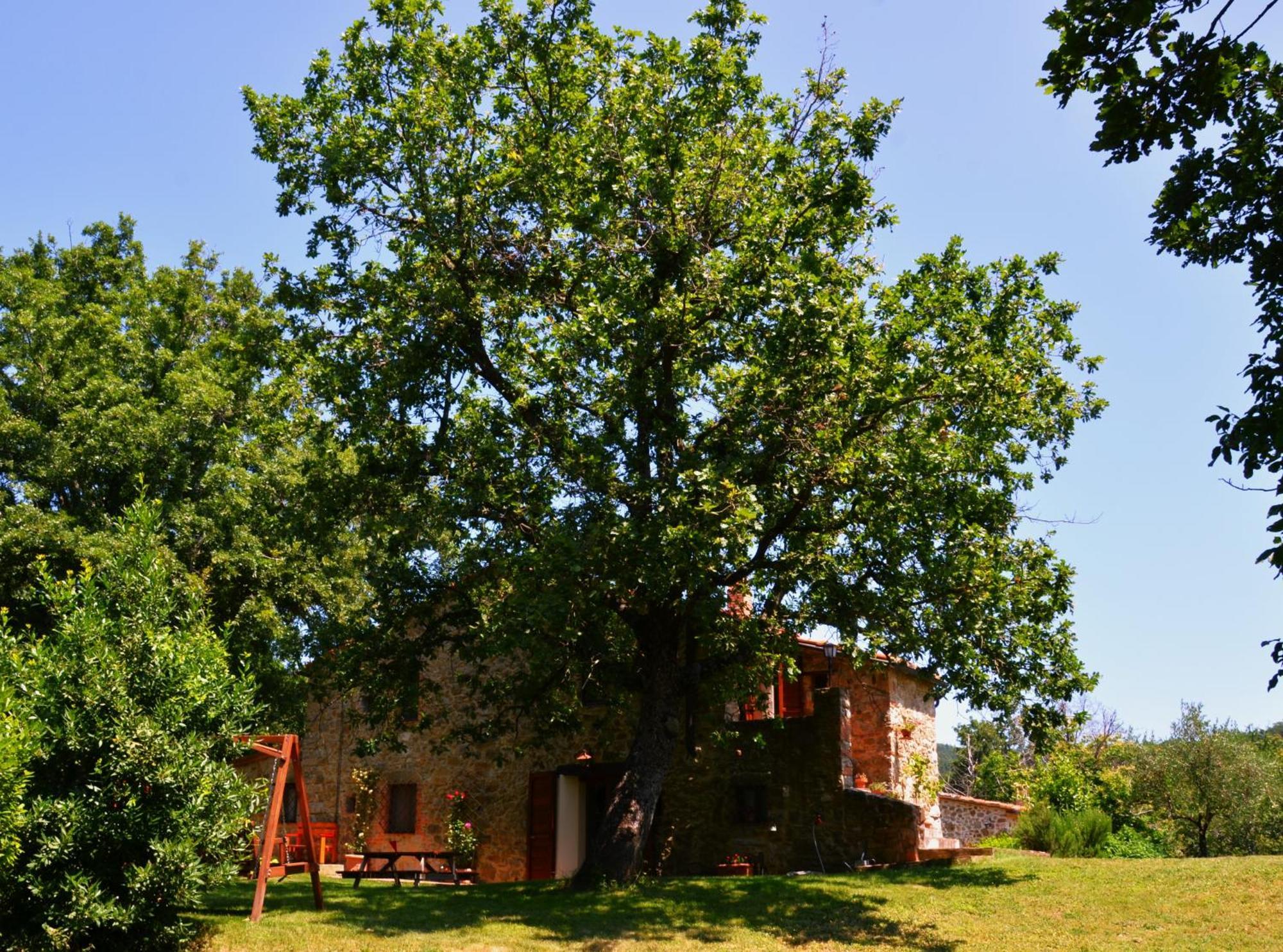 Bed and Breakfast Il Venaio Масса-Мариттима Экстерьер фото